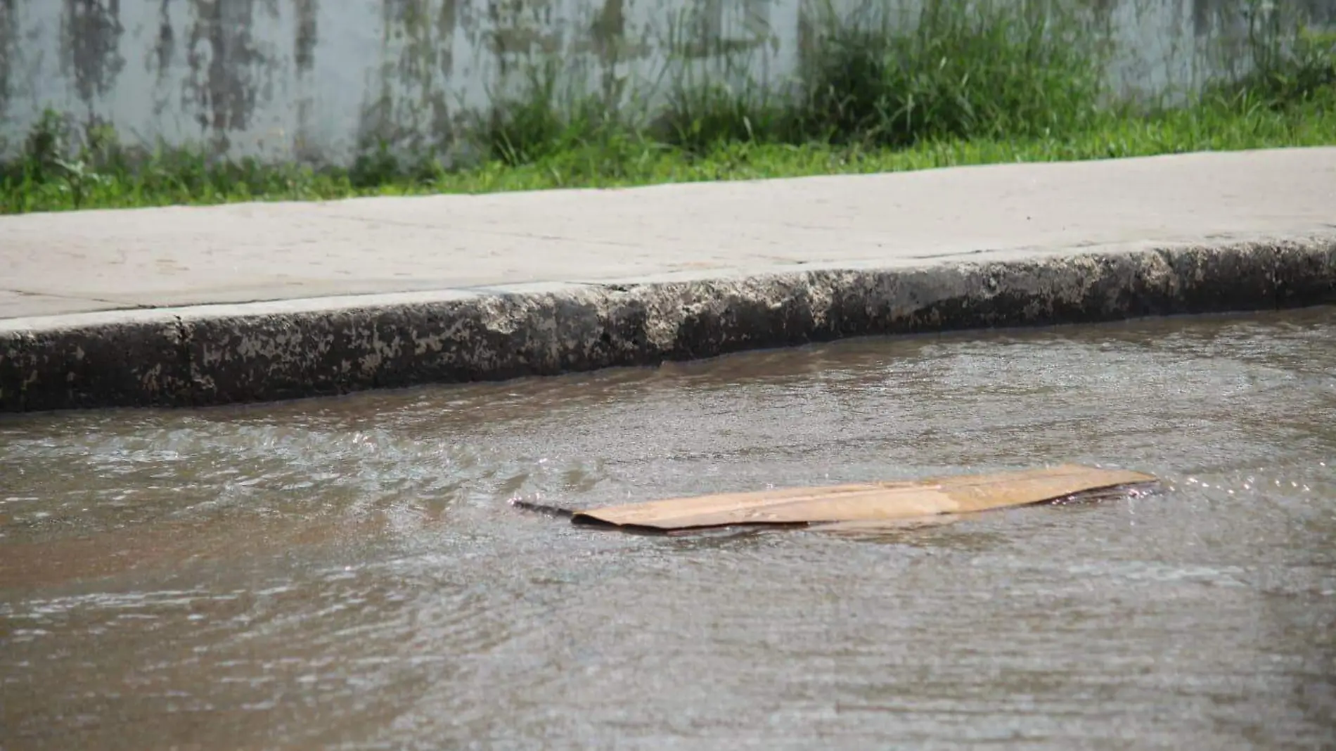 Aguas negras-Enfermedades-Lluvias